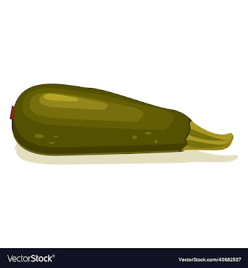 zucchini fruit