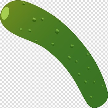 Zucchini Lasagne Cucumber Vegetable , Zucchini transparent background PNG clipart