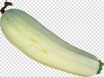 Zucchini Vegetable Cucurbita pepo pepo , vegetable transparent background PNG clipart