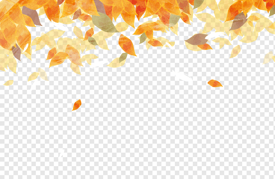 Autumn leaf color Autumn leaf color Watercolor painting, Beautiful watercolor autumn leaves, orange leaves illustration, watercolor Leaves, leaf, orange png