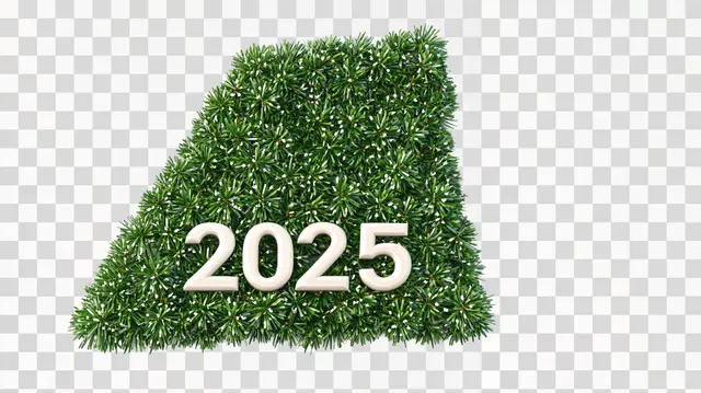 christmas tree shaped "2025", isolated on white background,