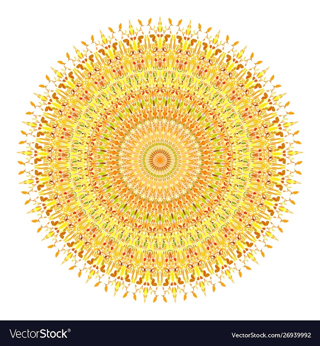 Colorful flower mandala ornament - vecor design vector image