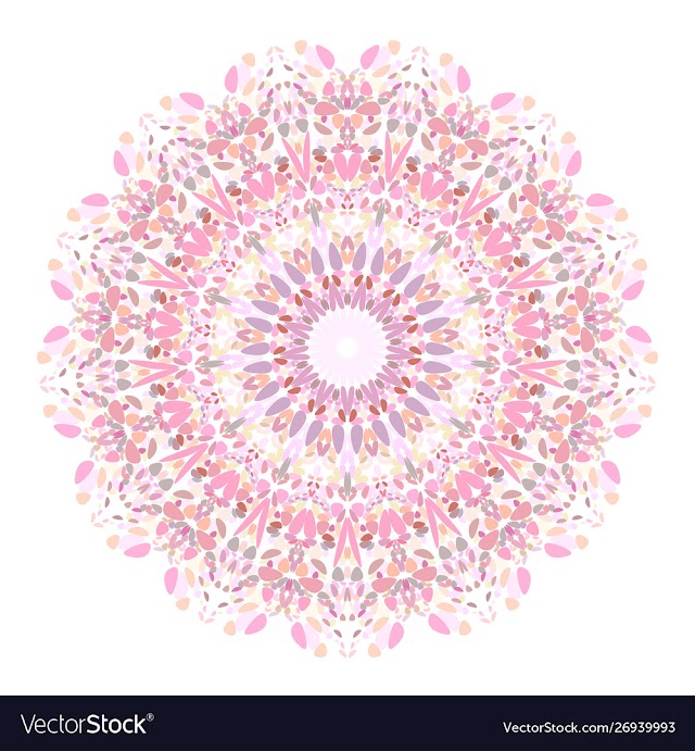 Colorful flower mandala ornament - vecor design vector image
