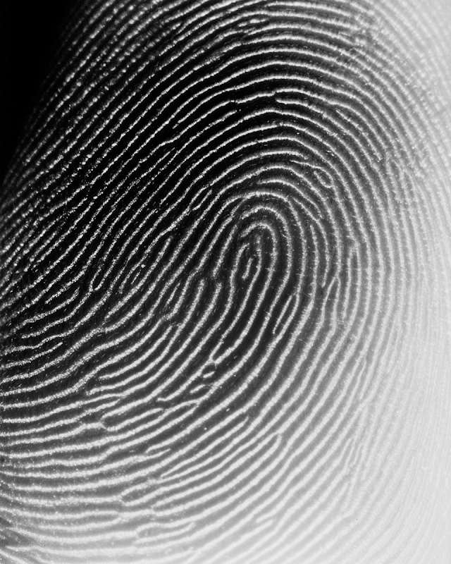 Detailed Forensic Photograph of Human Fingertip with Fingerprint