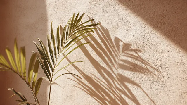Elegant Palm Leaf Shadows on Beige Wall