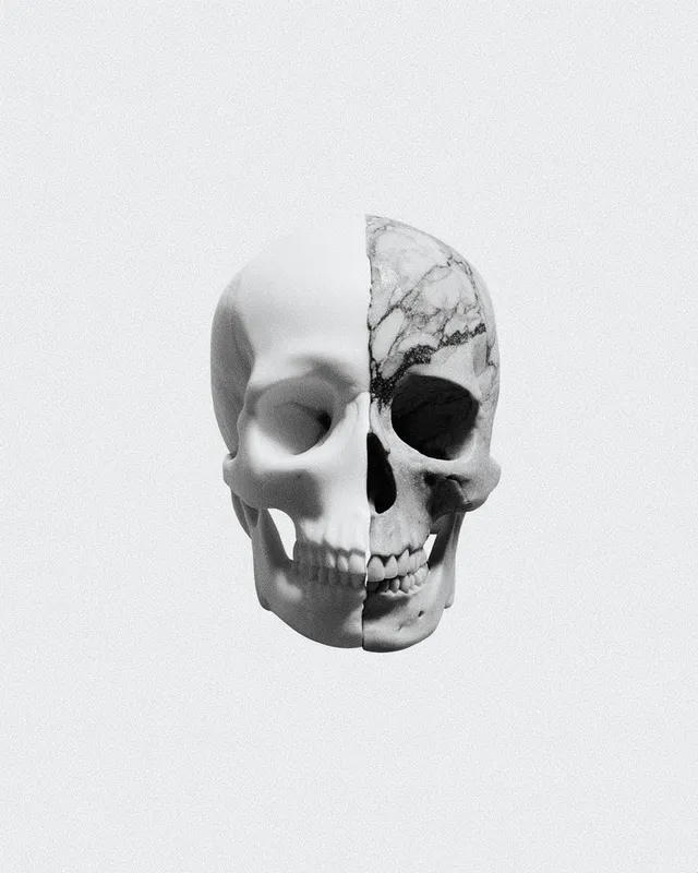Marble Textured Skull with Graphite Detailing