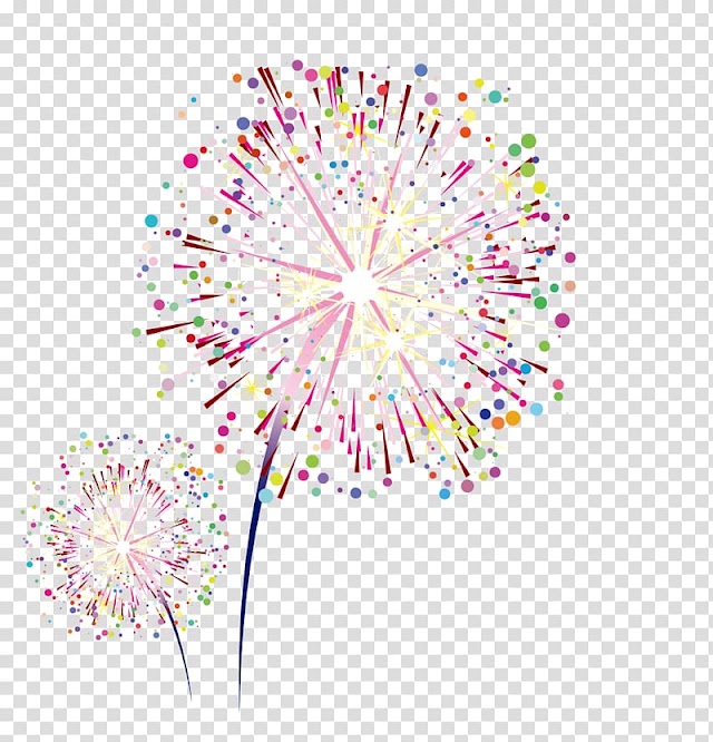 Multicolored firework , Sumidagawa Fireworks Festival Graphic design, Colorful fireworks transparent background PNG clipart
