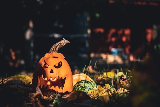 Orange and Multicolored Pumpkin Decoration