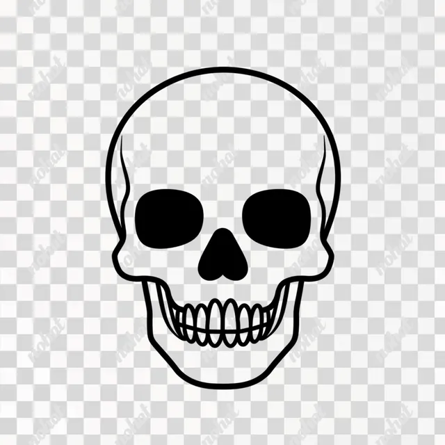 PNG Black and White Skull Icon for Home Decor and Graphic Design Use