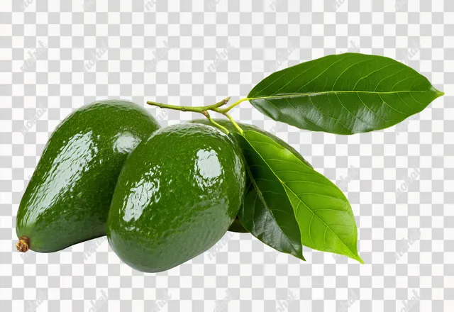 PNG Glossy Green Avocado Cluster with Leaves