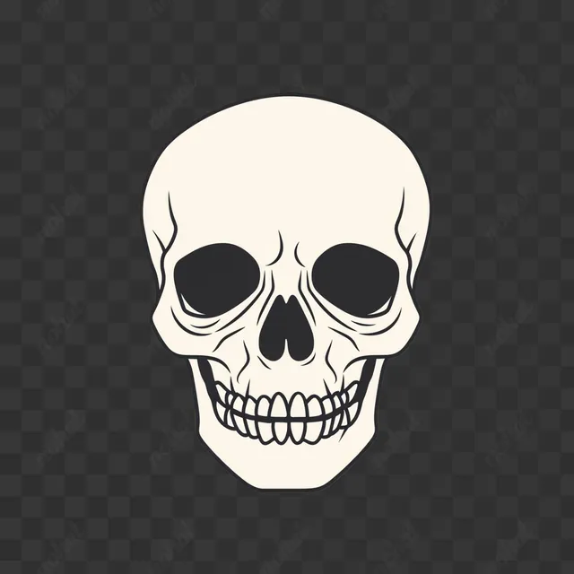 PNG Simple Line Art Skull Icon for Home Decor or Graphic Design Projects