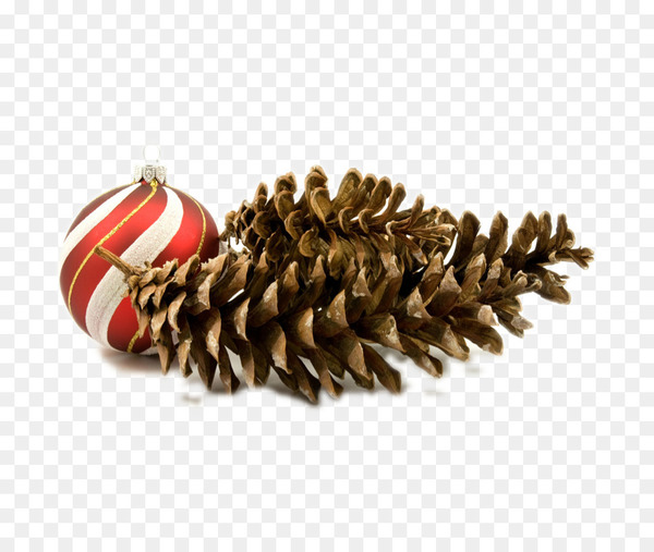 Santa Claus Christmas ornament Christmas decoration - Christmas pine colored balls 