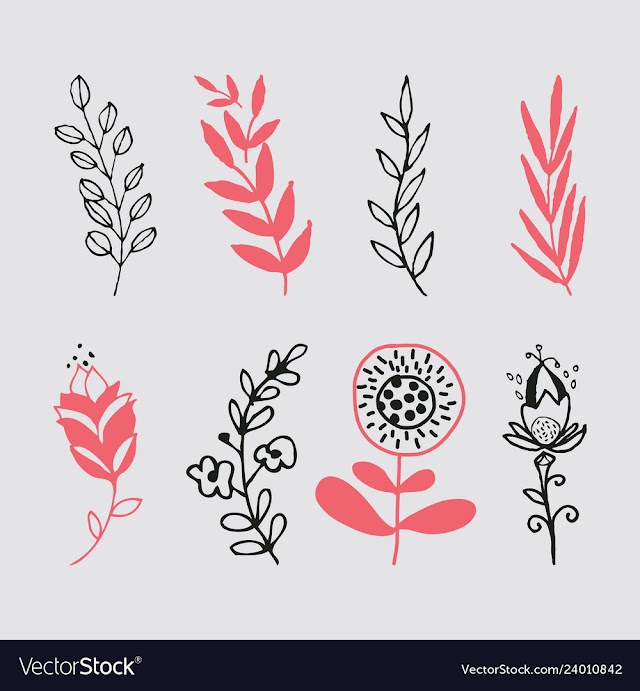 Set of vintage ornaments with floral elements for vector image