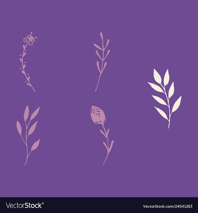 Set of vintage ornaments with floral elements for vector image
