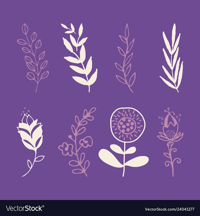 Set of vintage ornaments with floral elements for vector image