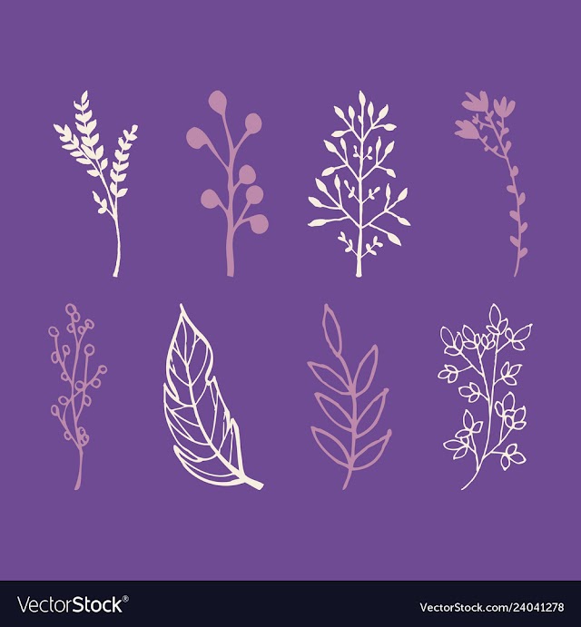 Set of vintage ornaments with floral elements for vector image