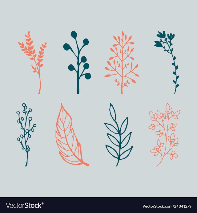 Set of vintage ornaments with floral elements for vector image