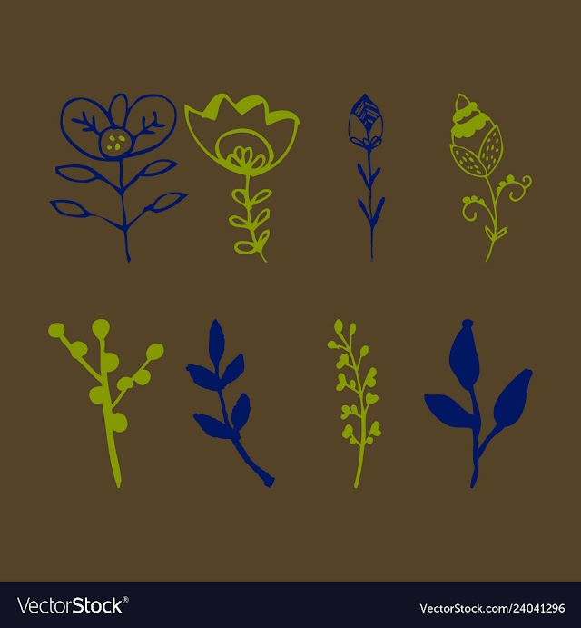Set of vintage ornaments with floral elements for vector image