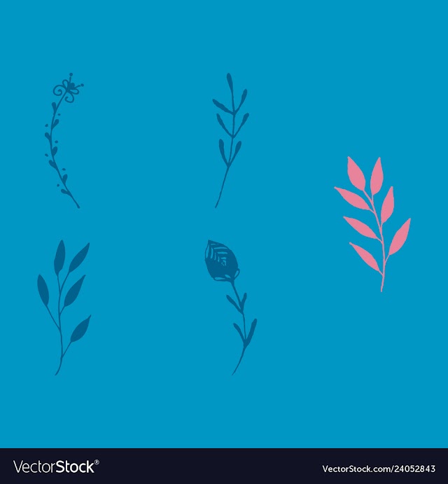 Set of vintage ornaments with floral elements for vector image