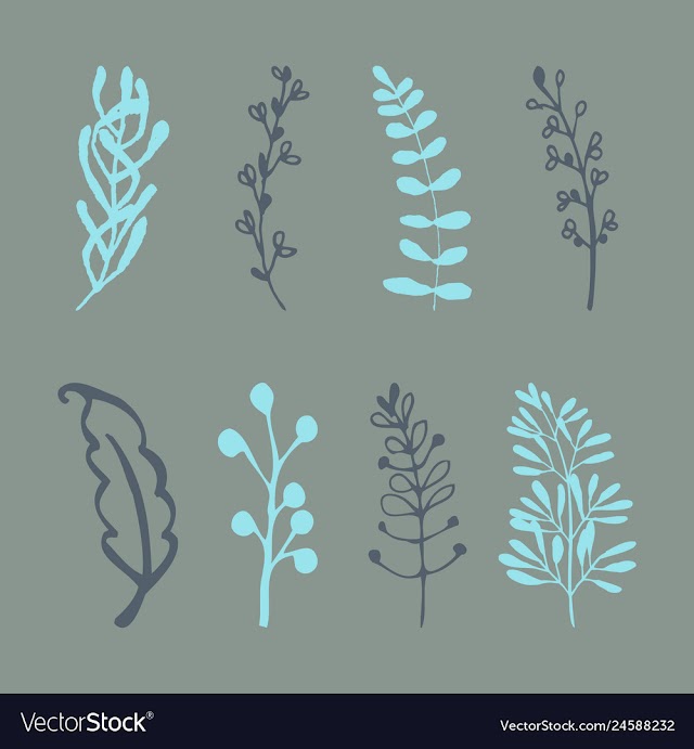 Set of vintage ornaments with floral elements for vector image