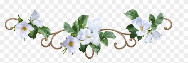 Watercolor Flower Border Decorative Painting White - Flower Watercolor Png Border