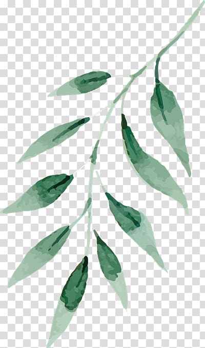 Watercolor painting Drawing Green Leaf, geo filter transparent background PNG clipart