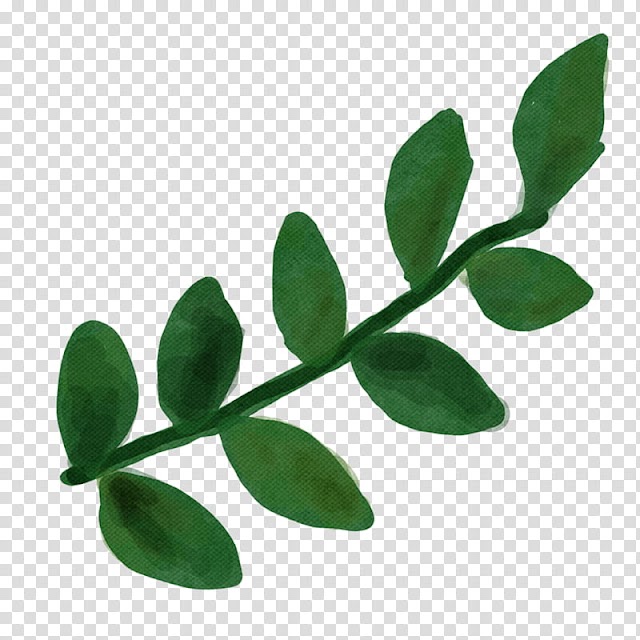 Watercolor vintage flowers , green leafed plant illustration transparent background PNG clipart