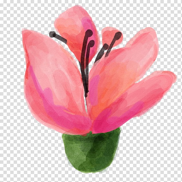 Watercolor vintage flowers , pink and green flower illustration transparent background PNG clipart