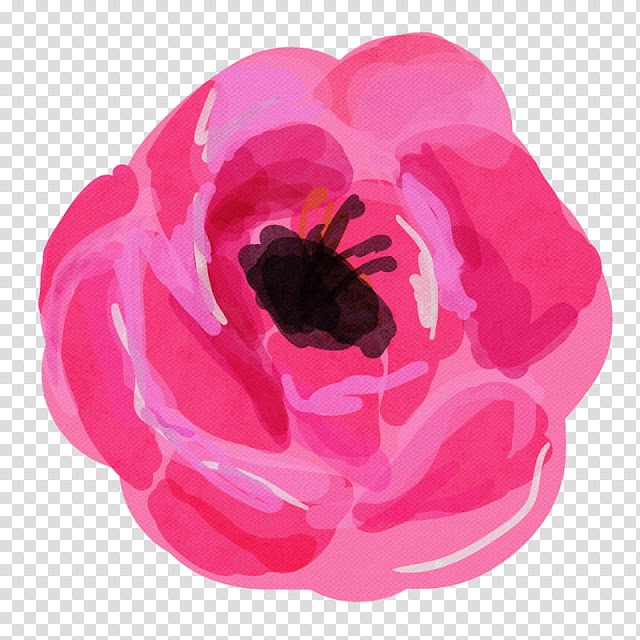 Watercolor vintage flowers , pink flower illustration transparent background PNG clipart
