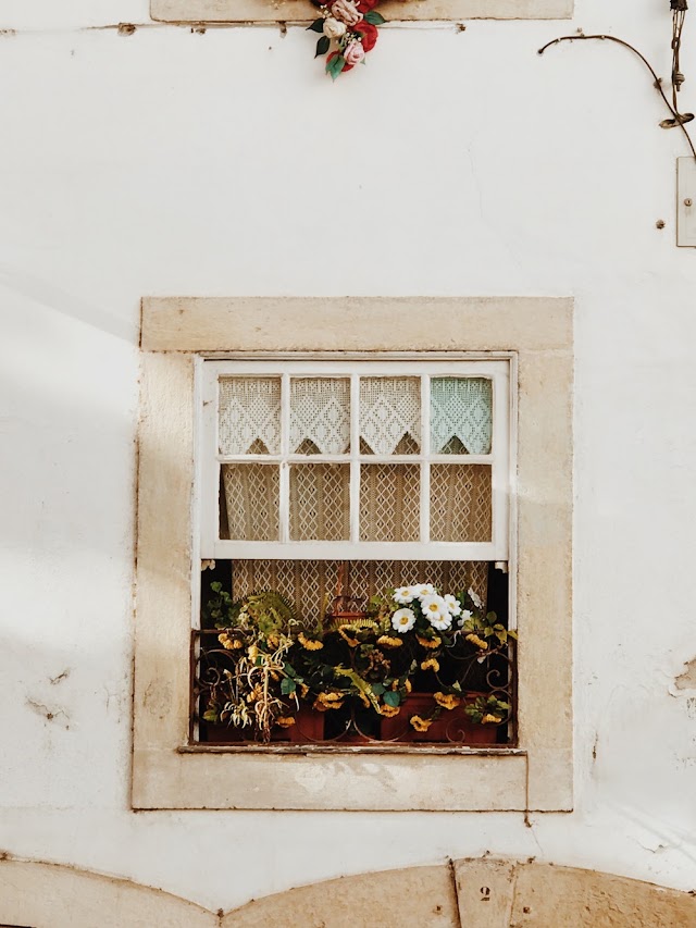 Free: White Wooden Window - nohat.cc